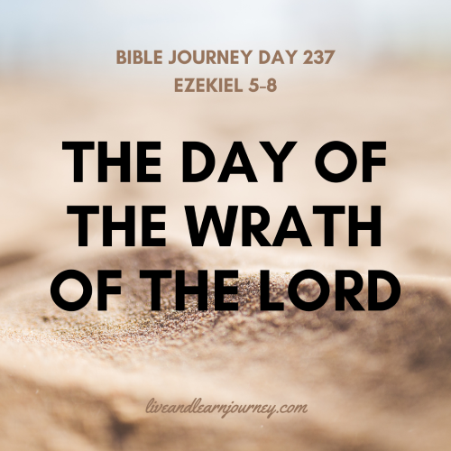 Day 237, Ezekiel 5-8 - Live And Learn Journey