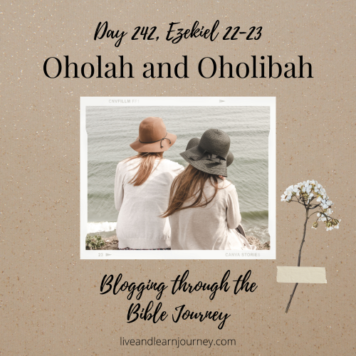 Day 242, Ezekiel 22-23 - Live And Learn Journey